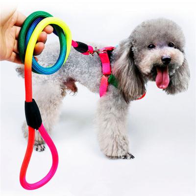 China Hot Selling Viable Color Round Rope Chest Tie Belt Durable Nylon Multicolor Dog Leash And Harness Pet Leash Set for sale