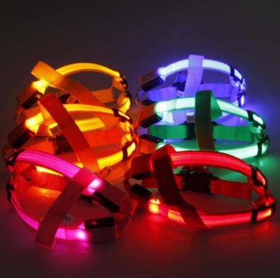 China Light Up Flashing LED Light Dog Safety Harness Flashing Light Up Leash Nylon Safety Dog Belt Harness for sale