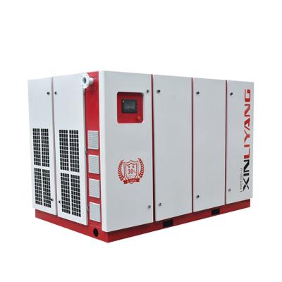 China High Efficiency Skillful Workmanship Silent Air Compressor Filter Air Compressor for sale