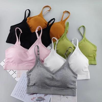 China 2021New Fashion Women's Large Size Sports Bra Cotton Bra QUICK DRY Adjustable Thin Shoulder Strap Bra for sale