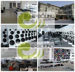 Verified China supplier - Shengzhou City Esound Electronic Co., Ltd.