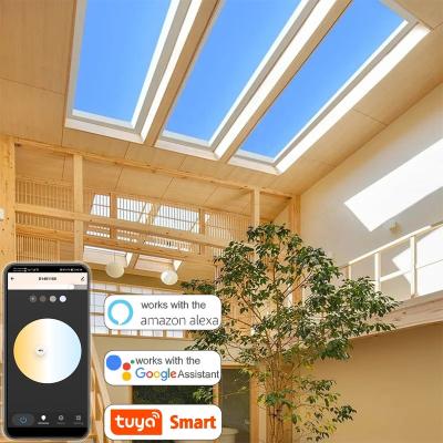 China Biological App 2200-7800K Rhythm Function Westyle Tuya CCT Dimming Blue LED Skylight Window 300*1200mm for Balcony Hotel Home Office Building for sale