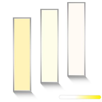 China 295*1195MM Modern 30120 Commercial 60W 2.4G 3000-6000K High Quality Ultra-bright Ultra Thin Desktop LED Panel Light Panels for sale