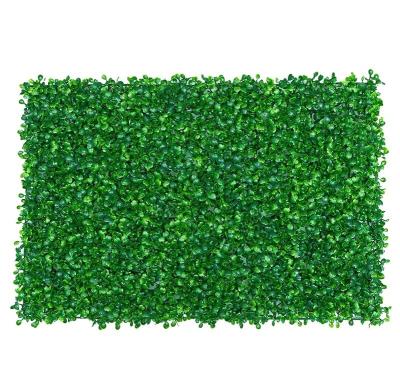 China Artificial Plastic Grass Wall - UV Protected Boxwood Hedge Wall Panels - Suits For Any Decorations for sale