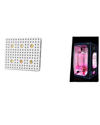 China Seed Starting CB6 Commercial Indoor Full Spectrum LED Flowering Grow Case BOX BOX High Power Plant Light Efficient LED Kits for sale