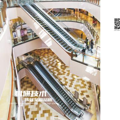 China Modern Escalator for Shopping Mall Supermarket Railway Station Escalator Sidewalk elevator for sale