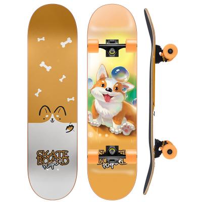 China New design high quality youth board 31 inch skateboard skate board for sale professional double rocker skateboard for sale