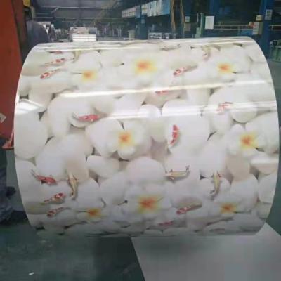 China Decoration Construction Material Wholesale Prepainted Galvanized Steel Coil And Coil Prepainted Ppgl/Ppgi/Ppgi Gi Color for sale