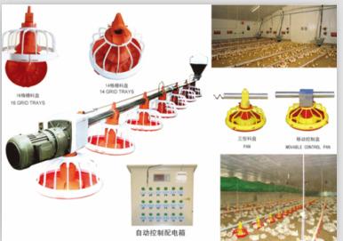 Verified China supplier - Dezhou Decheng Yuancheng Poultry Equipment Factory