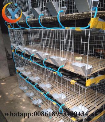 China Farms Rabbit Farming Rabbit Cage Factory Cage Equipment Industrial Metal Rabbit Cage For Sale for sale