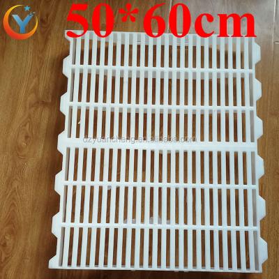 China Hog slat flooring or hog goat farm flooring with 50*60cm high quality hog slat plastic flooring for sale