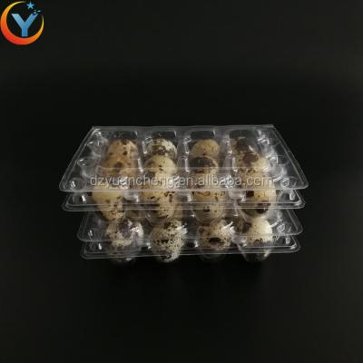 China PVC Recyclable Quail Egg Tray 12 18 20 24 30 HOLES BLOOM TRAY Packing Box Cardboard for sale