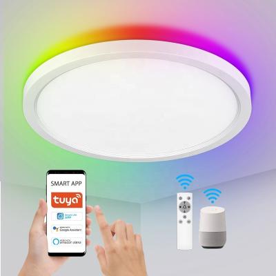 China Outdoor Mounted Surface Mount 12 16 Inch Disc Panel Led Ceiling Light 120V 220V 24W 32W Plus 4W PC Cover RGB 2700K 3000K 4000K 5000K Bright for sale