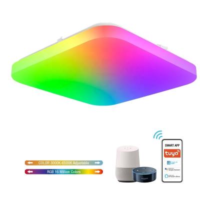 China Modern Square Shape WIFI Smart Ceiling Lamps RGBCW Color Adjustable For Living Room Bedroom LED Ceiling Lights for sale