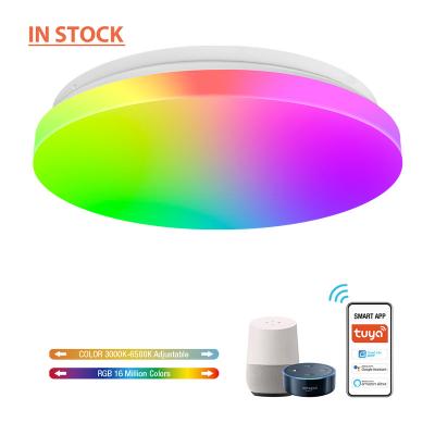 China Modern Series 12Inch 330mm Shape 24W Dimmable Wifi Smart Voice Control Living Room Lamp RGB Ceiling Light for sale