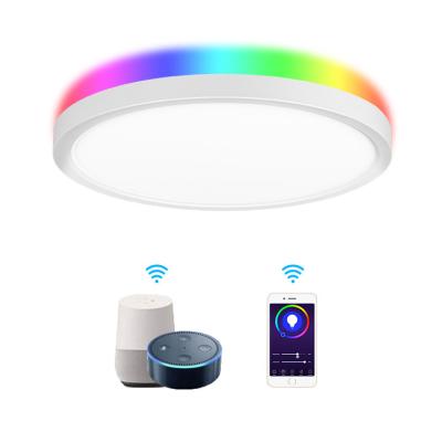 China Modern Diameter 300 400 Inteligente Wifi Control TDC Selectable Panel Led Adjustable RGBW 24W 32W+4W Moon Night Light for sale