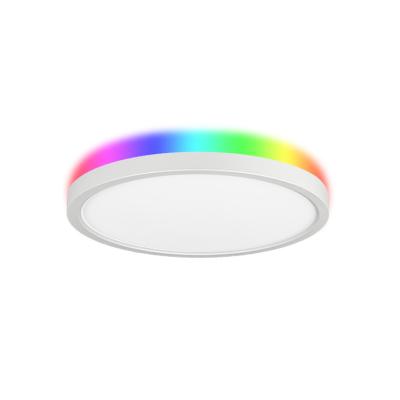 China EUROPEAN Surface Mounted Modern Wifi Ceiling Lamp Bedroom 24W RGB LED Ceiling Lights for sale