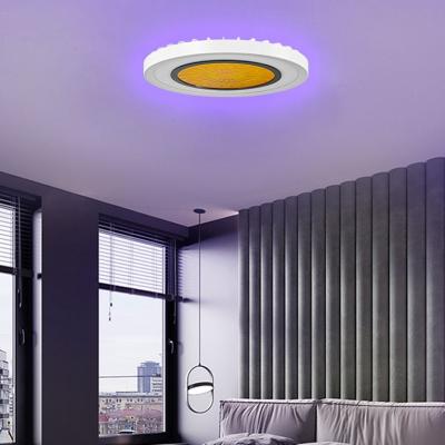 China Zhongshang Chixiong spiral panel outdoor mounted indoor dimmer led ceiling light multicolor modern with dimmable exterior for sale