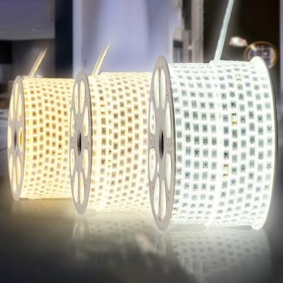 China Commercial Indoor Outdoor Flexible Waterproof 2835 5050 Led Strip Light Double Row Single Row for sale