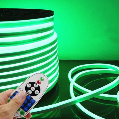 China 2835 SMD AC 110-120V Residential Waterproof Flexible Neon 5m Led Strip Light With Controller RGB Led Strip Light Neon for sale