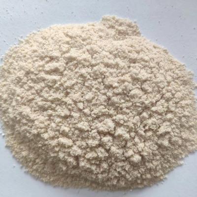 China 4g/10g/17g/200g Dry Vegetarian/Chicken/Shrimp/Beef/Seafood HALAL Custom Seasoning Cube Seasoning Powder for sale