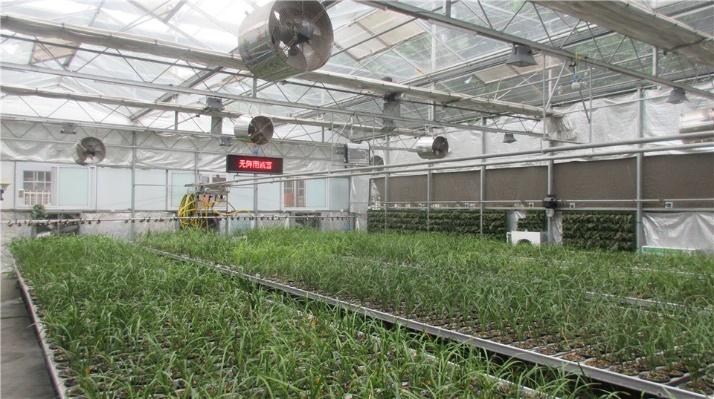 Verified China supplier - Jiangsu Skyplant Greenhouse Technology Co., Ltd.