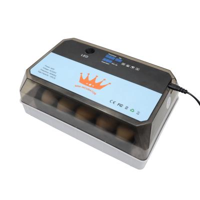 China Skylant full automatic promotion full automatic chicken egg incubator for sale for sale