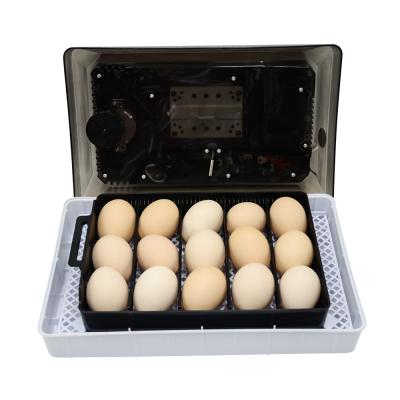 China Cheap Full Automatic Chicken Duck Goose Quail Egg Incubator from Skylant Price for Sale for sale