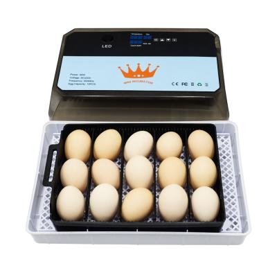 China Full Automatic Skylant Retail Home Use Egg Incubator For Sale Chicken Egg Incubator for sale