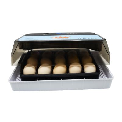 China Skylant Fully Automatic Mini Chicken Egg Incubator Mini Automatic Solar for sale