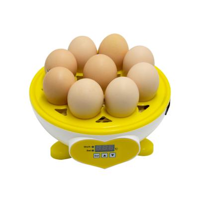 China Automatic Fully Automatic Chicken Duck Pigeon Quail Egg Hatching Machine Skyplant Hatching Egg Prices for sale