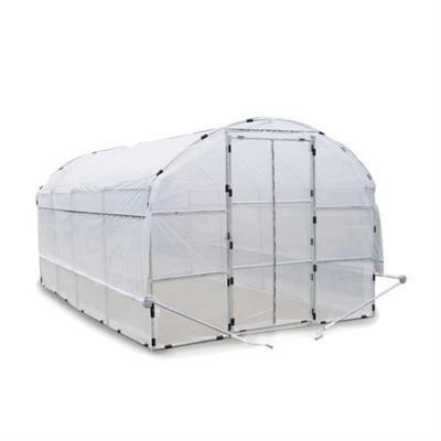 China Easy Assemble Plastic Tunnel /PE Flim Greenhouse For Vegetables / Flowers for sale