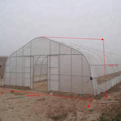 China Vegetables and Friuts Grow High Quality 15 Years Tunnel Plastic Sheet Greenhouse Low Tunnel Greenhouse UV Protection Greenhouse Plastic Sheet for sale