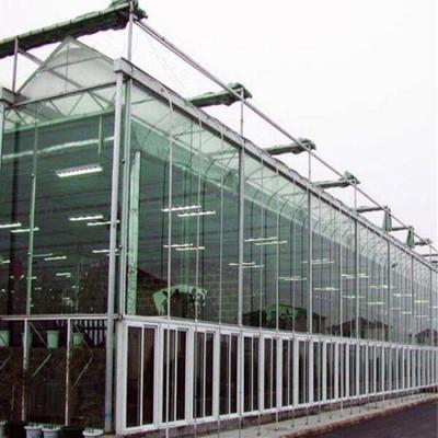 China Venlo Skyplant Large Commercial Multi-span Glass Greenhouse for sale