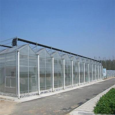 China Commercial Smart Modern Agricultural Venlo Skyplant Glass Greenhouse With Hydroponics System for sale