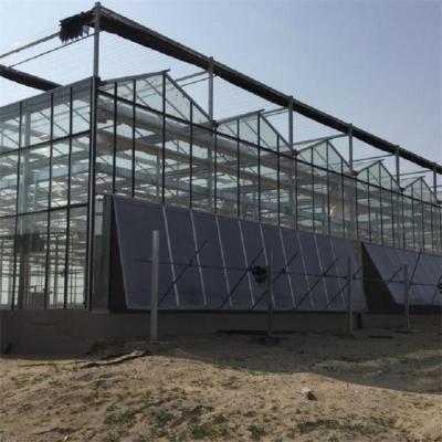 China Venlo Skyplant Multi Span Venlo Customized Glass Greenhouse for sale