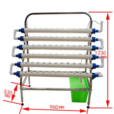 China Easy Growing Garden Grow Kit Indoor Grow System Hydroponics for sale