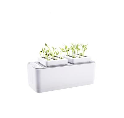 China Grow Skyplant Hydroponic Mini DIY Flower Grow Box For Planting for sale