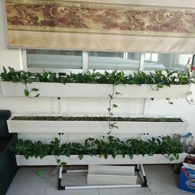 China NFT Hydroponic Raceway Grow Systems Crop 14m / 28m / 42m / 56m for sale