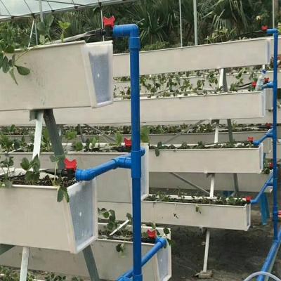 China Skyplant Hydroponic Easy Growing Strawberry NFT Hydroponic Raceway For Greenhouse for sale