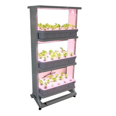 China Skyplant NFT Easy Growing Vertical Hydroponic Systems For Lettuce for sale