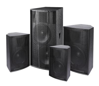 China Disco\Bar\Club\Professional Home Audio System 12