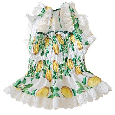 China Sweet Lemon Pattern Small Pet Sling Skirt Female Medium Sleeveless Dog Cool Lace Dress for sale