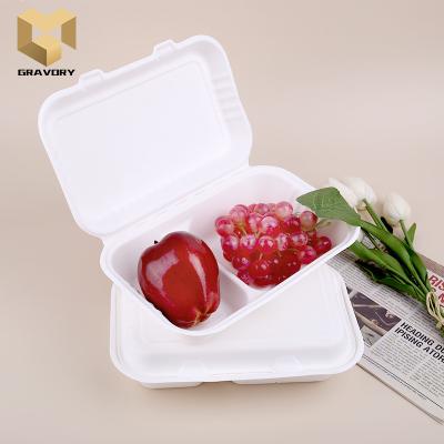 China New Arrival Two Compartment Disposable Popular Sugarcane Bagasse Lunch Box Biodegradable Bagasse Box for sale