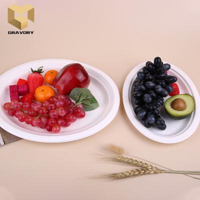 China Disposable Natural Eco Friendly Biodegradable Lunch Dishes Bagasse Pulp Oval Dish for sale