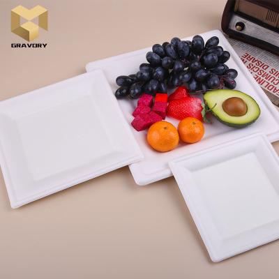 China Disposable Good Quality Guaranteed Dinner Dishes Tableware Custom White Square Square Disposable Sugar Cane Dish for sale