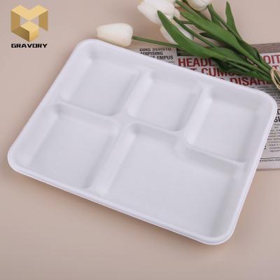 China Hot Selling Disposable Bagasse Disposable White Lunch Tray Hamburger Bagasse Salad Tray for sale