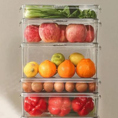 China Stackable airtight clear freshness preservation cajas plastico refrigerator storage organizer food storage containers set plastic for refrigerator for sale