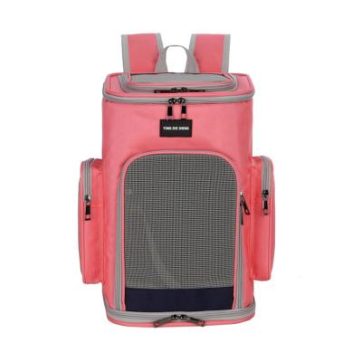 China Luxury Breathable Carry Puppy Cat Pet Travel Carrier Backpack Small Folding Bag for sale