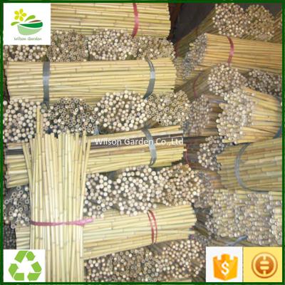 China Garden home decoration decoration natural bamboo stakes, bamboo moso poles, and tonkin cane for sale